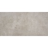 Vloertegel Alaplana Larsen Grey 60x120 cm (doosinhoud 1.43m2) (prijs per m2)