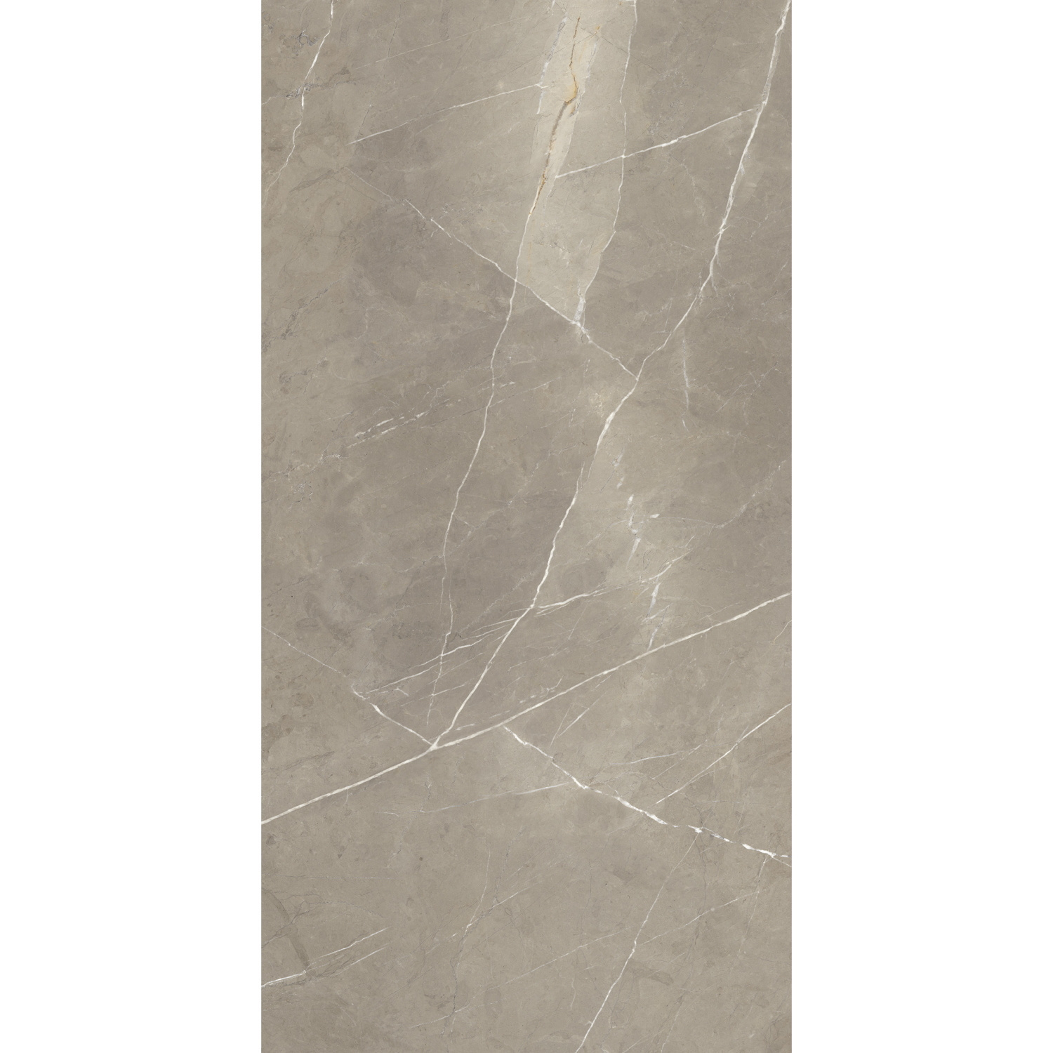 Vloertegel Energieker Pietragrey Glans 120X270 cm Taupe Energieker