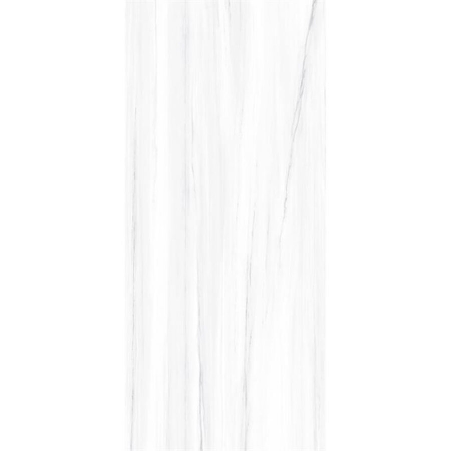 Vloer- en Wandtegel Energieker Ekxtreme 120x280 cm Glanzend Dolomite (Prijs per Stuk)