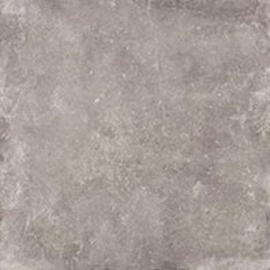 Vloertegel Dream Taupe 80x80 cm (prijs per m2)