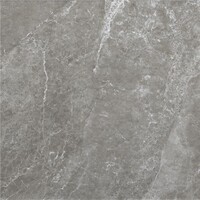 Vloertegel Alaplana P.E.Tenby Slipstop Anthracite 60x60 cm Antraciet (doosinhoud 1.42m2) (prijs per m2)