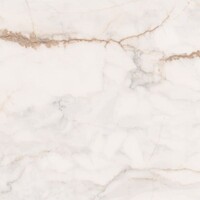 Vloertegel Douglas & Jones Marbles 60x60 cm Glans Pisa Gold (Doosinhoud 1.44m2) Prijs Per Meter
