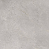 Vloertegel TS-Tiles Stonemaster Silver 60x60 cm (doosinhoud 1.43m2) (prijs per m2)