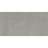 Vloertegel GPD 59Up 30X60 (prijs per m2)