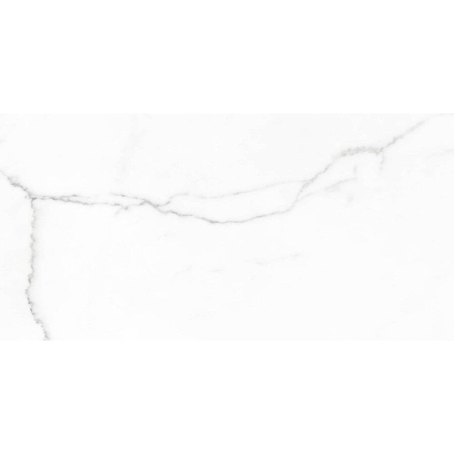 Vloertegel Statuario mat 30x60 rett (prijs per m2)