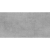 Vloertegel TS-Tiles Arctec Beton Grey 30x60 cm (doosinhoud 1.44m2)