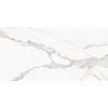 Vloertegel Alaplana P.E. Palladio Statuario Mat Satin 60x120 cm Gerectificeerd Marmerlook (Doosinhoud 1.44 m2) (prijs per m2)