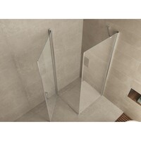 Wiesbaden swingdeur + zijwand UNI 1000x1000x2000 chr.8mm NANO