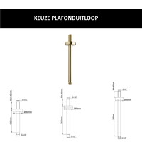 Wiesbaden Inbouw Regendouche Set Caral Rond Plafonduitloop Geborsteld Messing Goud PVD Coating