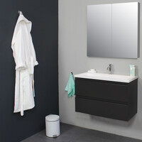 Badkamermeubel BWS Pepper Wastafel Acryl Incl Spiegelkast 2 Deurs Met Kraangat 80x55x46 cm Antraciet