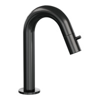 Opbouw Fonteinkraan Brauer Gunmetal Edition Met Gebogen Uitloop Gunmetal Geborsteld PVD
