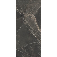 Vloer- en Wandtegel Energieker Thunder Marmerlook 60x120 cm Mat Rumble (Prijs per M2)