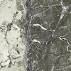 Ape Grupo Vloertegel Ape Grupo Breccia Viridi 120x120 cm Gepolijst Grijs Marmerlook (Prijs per M2)