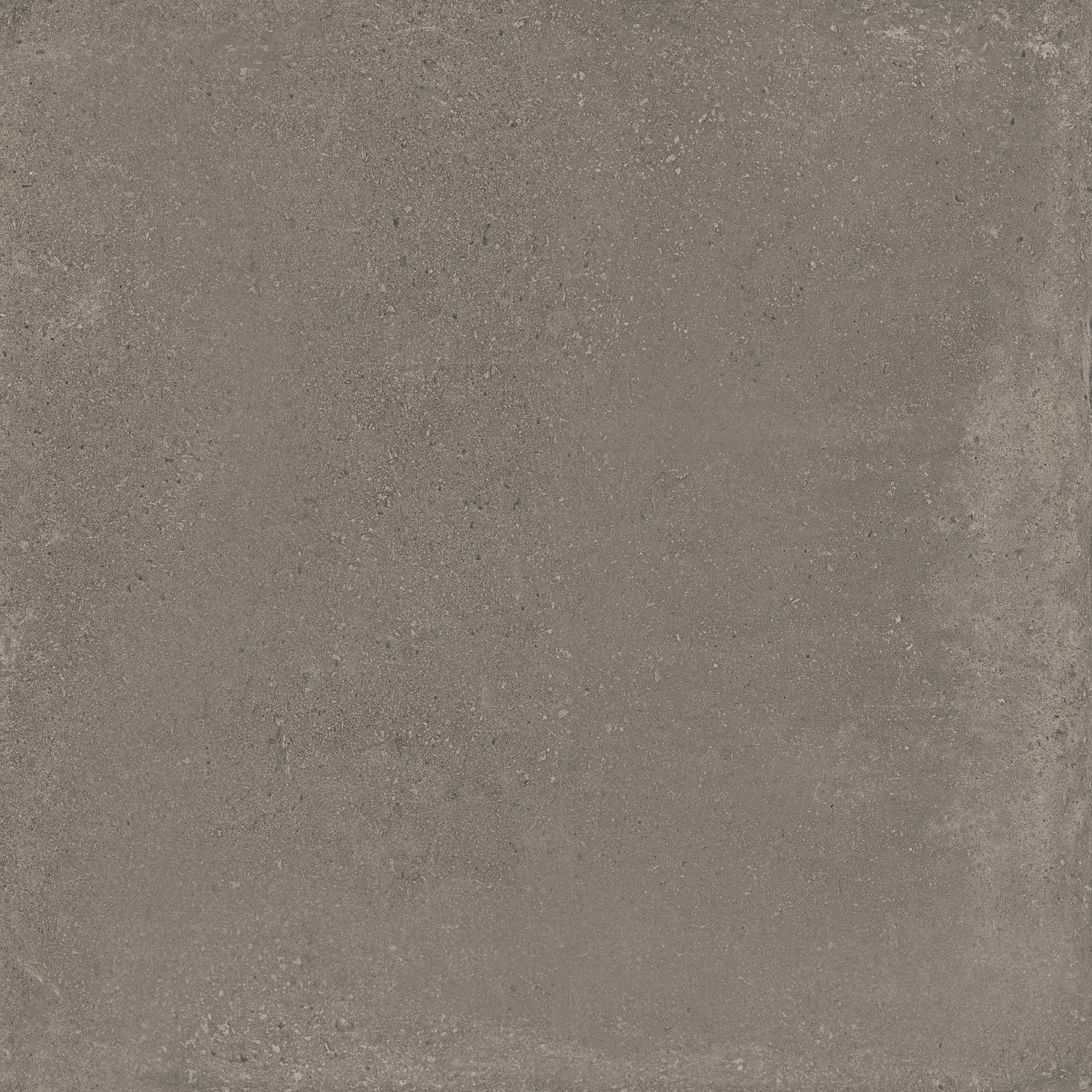 Argenta Vloertegel  Davenport 75x75 cm Mat Brown 