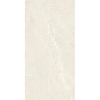 Vloertegel Energieker Wonder 60x120 Cm Mat Sleet (Prijs per M2)