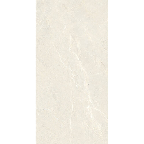 Vloertegel Energieker Wonder 60x120 Cm Mat Sleet (Prijs per M2) 