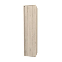 Kolomkast BWS Sally 160 cm 1 Deur Licht Hout