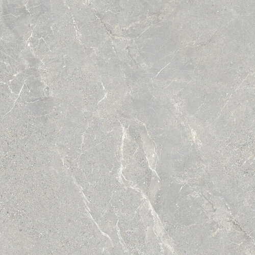 Vloertegel Energieker Wonder 60x60 Cm Mat Shade (Prijs per M2) 