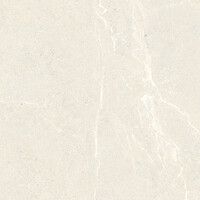 Vloertegel Energieker Wonder 120x120 Cm Mat Sleet (Prijs per M2)