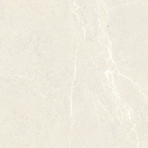 Vloertegel Energieker Wonder 120x120 Cm Mat Sleet (Prijs per M2) 