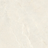 Vloertegel Energieker Wonder 60x60 Cm Mat Sleet (Prijs per M2)