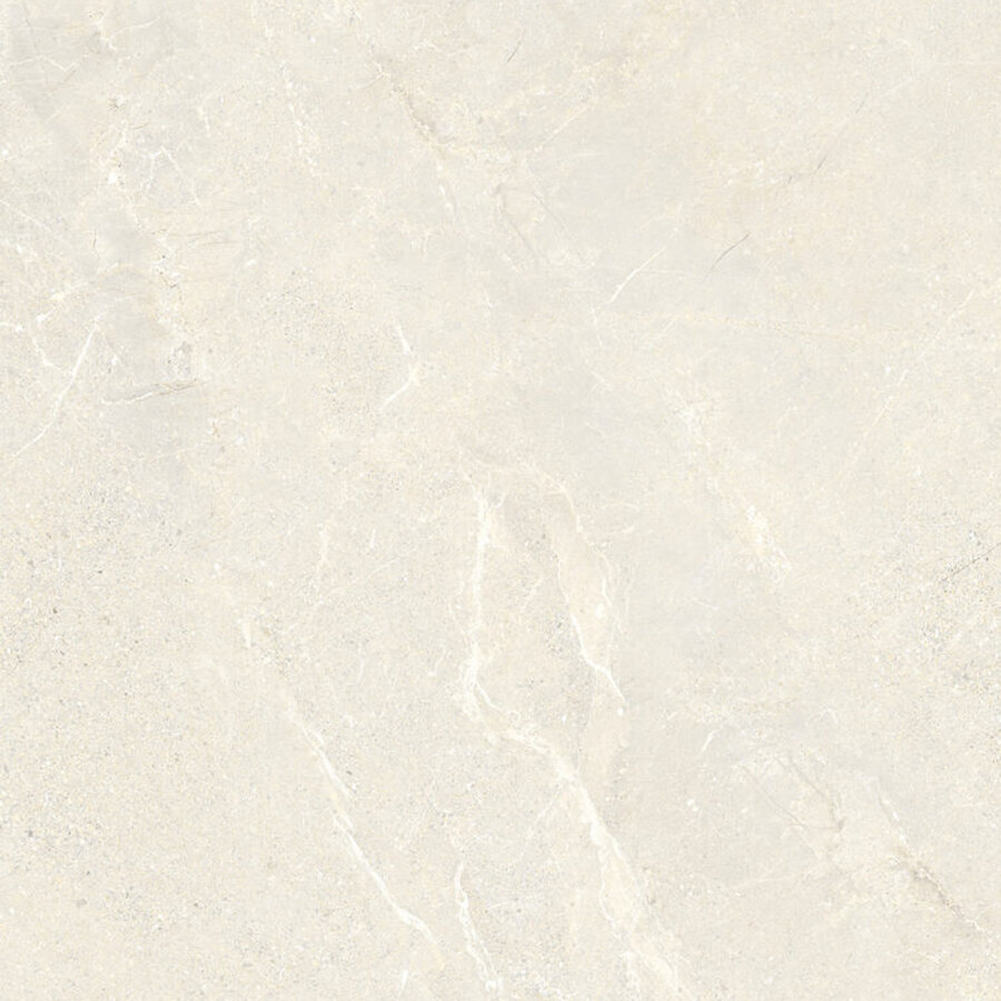 Vloertegel Energieker Wonder 60x60 Cm Mat Sleet (Prijs per M2)