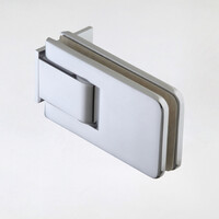 Nisdeur Van Rijn Products GL12 200x100 cm Chroom