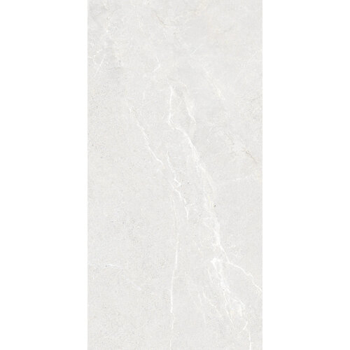 Vloertegel Energieker Wonder 60x120 Cm Mat Bright (Prijs per M2) 