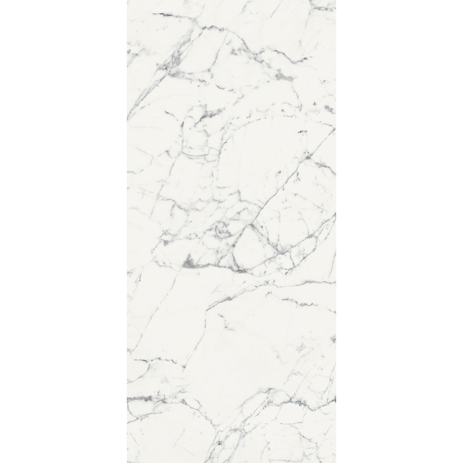 Douglas & Jones Vloertegel 120x280 cm Magnum Mat Blanc - Vloertegel 120x280 cm Magnum Mat Blanc (prijs Per Tegel)