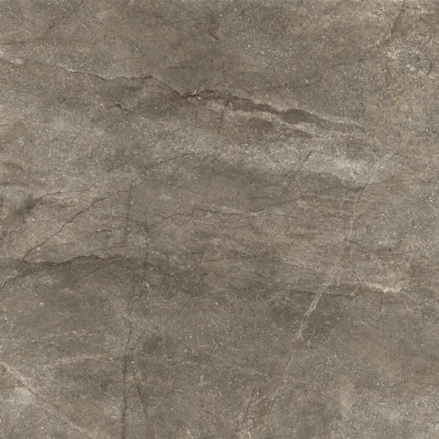 Vloertegel Douglas Jones Marbles 90X90 cm Mat moka (Prijs per M2)