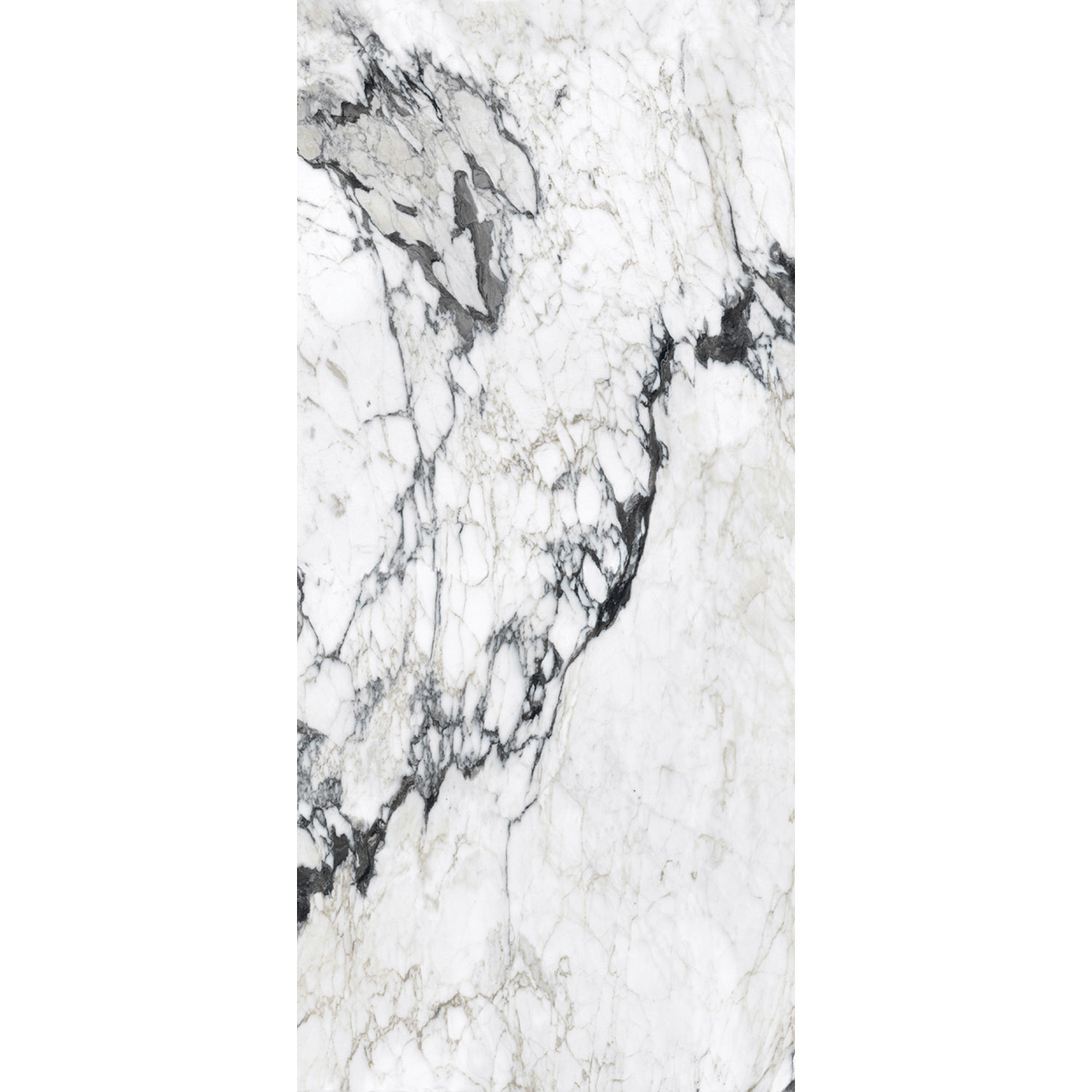 Douglas & Jones Vloertegel 120x280 cm Magnum Glans Calacatta Altissimo - Vloertegel 120x280 cm Magnum Glans Calacatta Altissimo (prijs Per Tegel)