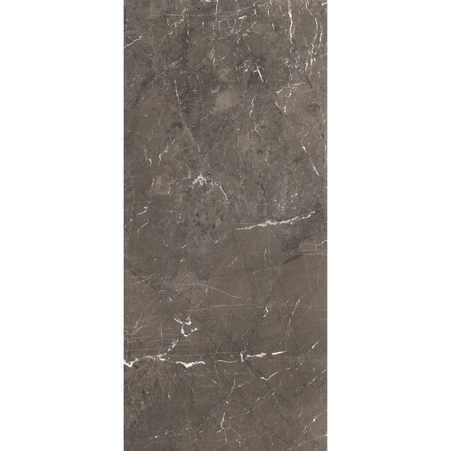 Douglas & Jones Vloertegel 120x280 cm Magnum Mat Brown - Vloertegel 120x280 cm Magnum Mat Brown (prijs Per Tegel)
