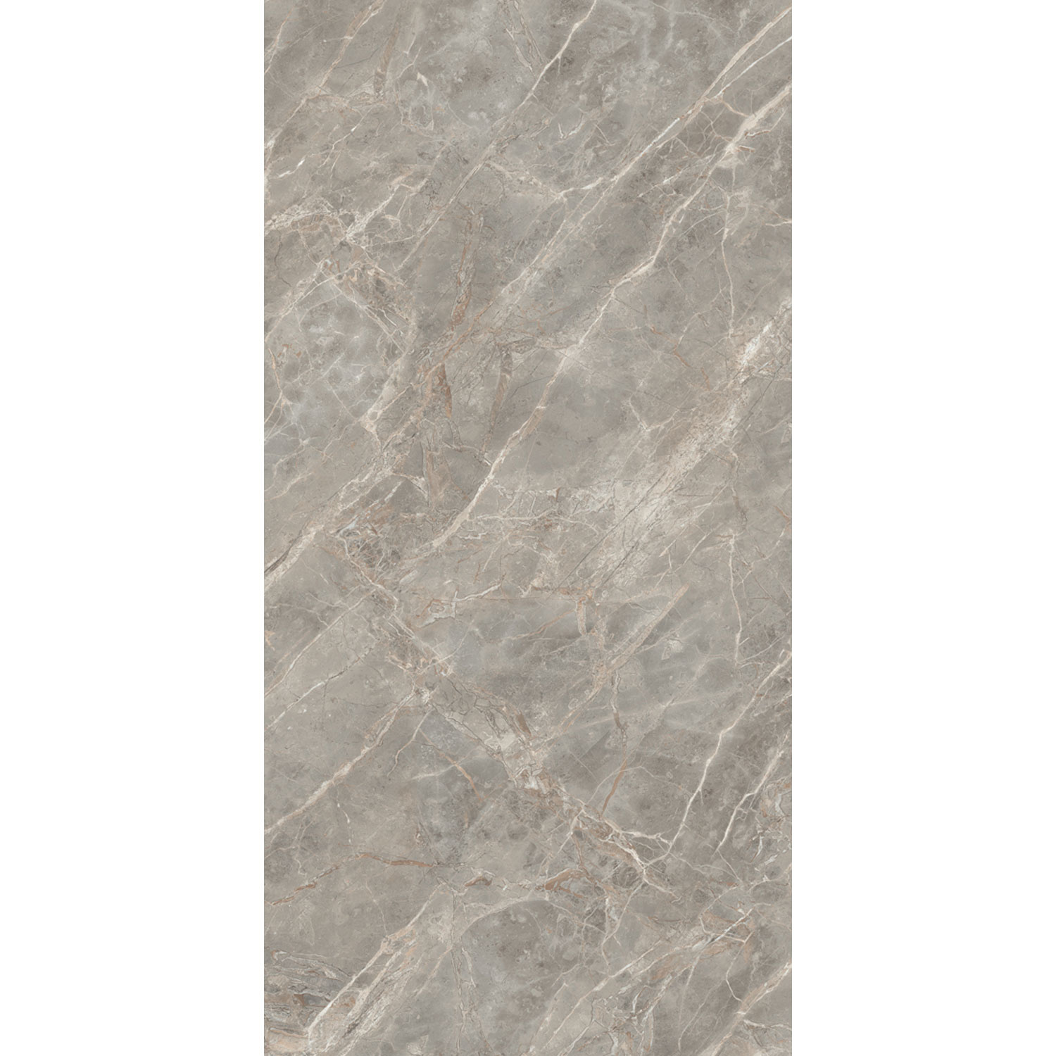 Douglas & Jones Vloertegel 120x280 cm Magnum Glans Gris - Vloertegel 120x280 cm Magnum Glans Gris (prijs Per Tegel)