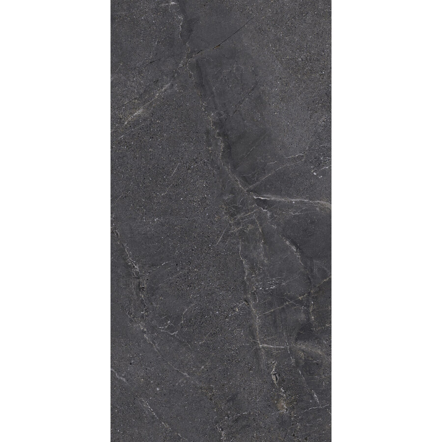 Vloertegel Energieker Wonder 60x120 Cm Mat Brave (Prijs per M2)