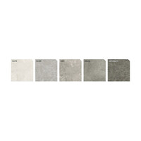 Vloertegel Energieker Parker 80x80 Naturale 9mm Grey (Prijs per M2)