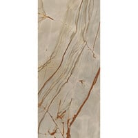 Vloertegel Douglas & Jones 120x280 cm Magnum Glans Rainforest (Prijs per M2)