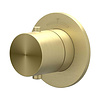 Afbouwdeel IVY Concord Inbouwthermostaat Symmetry Met Rond Rozet RVS316 Geborsteld Mat Goud PVD