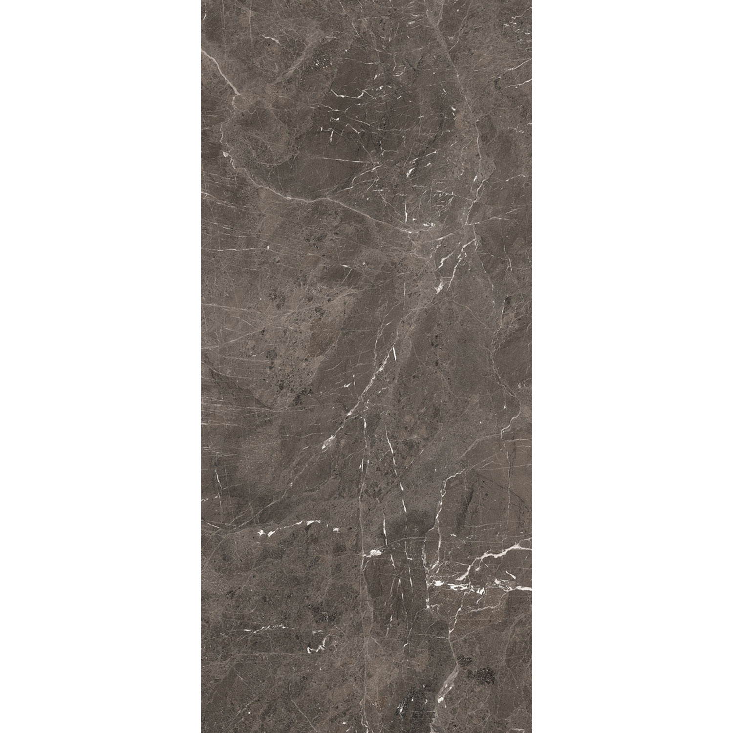 Douglas & Jones Vloertegel 120x280 cm Magnum Glans Brown - Vloertegel 120x280 cm Magnum Glans Brown (prijs Per Tegel)
