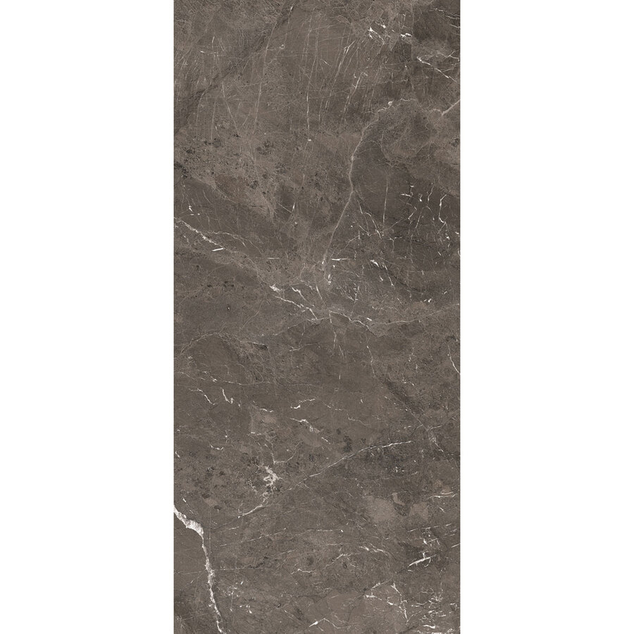 Vloertegel Douglas & Jones 120x280 cm Magnum Glans Brown (Prijs per M2)