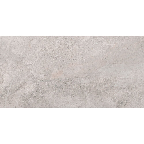 Vloertegel Pamesa Erding Silver 30x60 cm Gerectificeerd Mat Grijs (Prijs Per M2) 