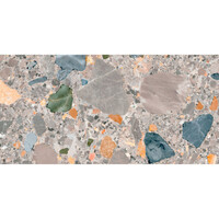 NIET MEER LEVERBAAR Vloertegel Pamesa Pietra Di Gre Multi 30x60 cm Gerectificeerd Mat Multi (Prijs Per M2)