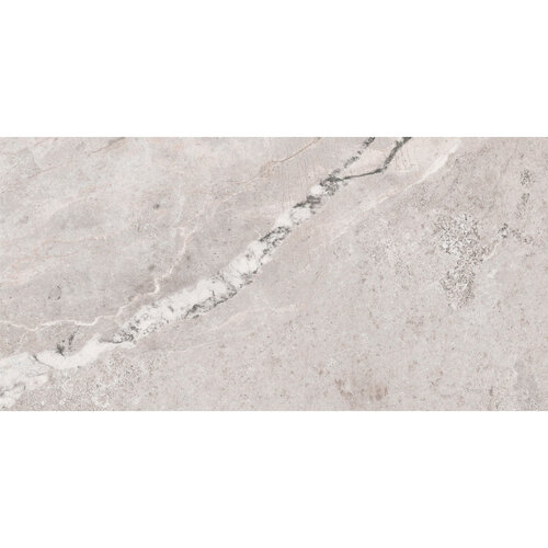 Vloertegel Pamesa Erding Silver 60x120 cm Gerectificeerd Mat Grijs (Prijs Per M2) 