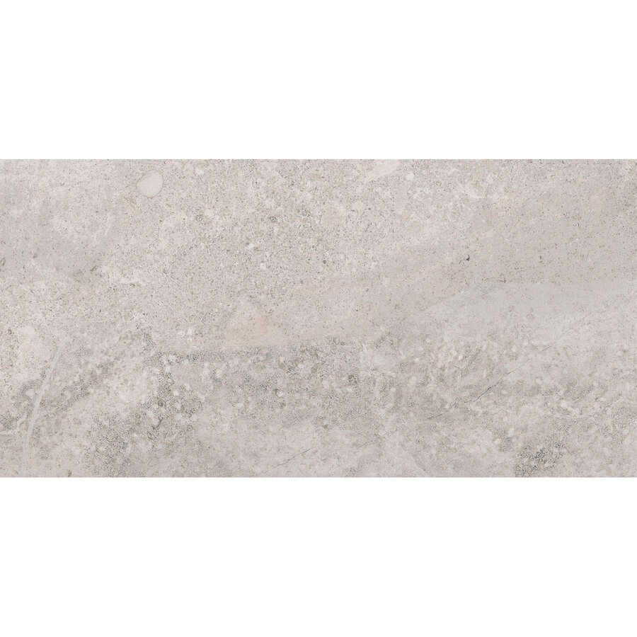 Vloertegel Pamesa Erding Silver 60x120 cm Gerectificeerd Mat Grijs (Prijs Per M2)