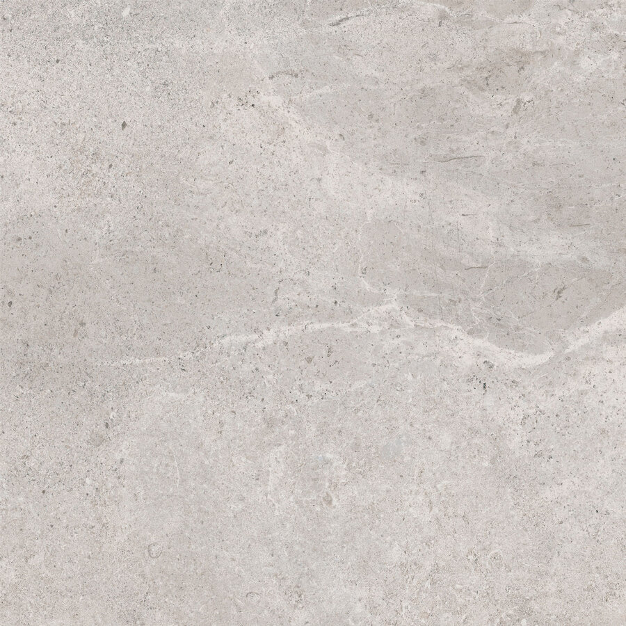 Vloertegel Pamesa Erding Silver 60x60 cm Gerectificeerd Mat Grijs (Prijs Per M2)