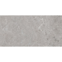 Vloertegel Pamesa Erding Ash 30x60 cm Gerectificeerd Mat Grijs (Prijs Per M2)