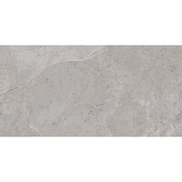 Vloertegel Pamesa Erding Ash 30x60 cm Gerectificeerd Mat Grijs (Prijs Per M2)