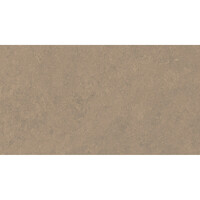 Vloertegel Pamesa Cromat Noce 30x60 cm Gerectificeerd Mat Bruin (Prijs Per M2)