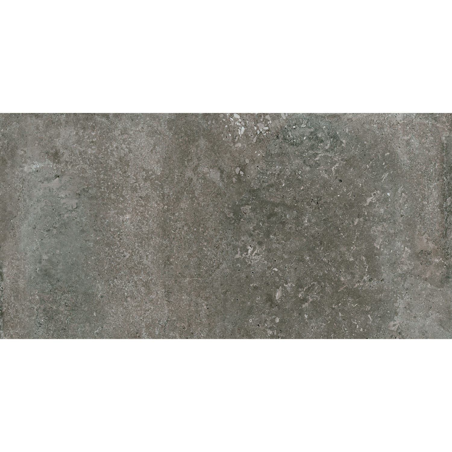 Vloertegel Pamesa Montpellier Graphite 60x120 cm Gerectificeerd Mat Grijs Pamesa