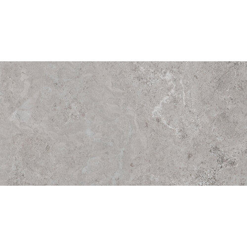 Vloertegel Pamesa Erding Ash 60x120 cm Gerectificeerd Mat Grijs (Prijs Per M2) 