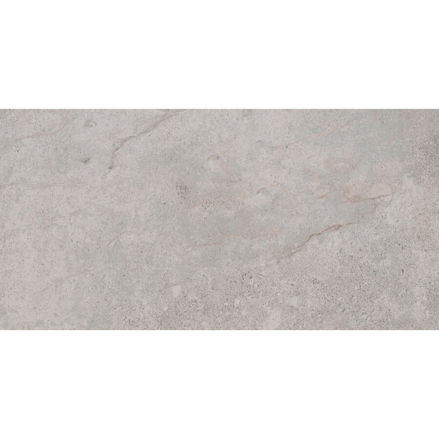 Vloertegel Pamesa Erding Ash 60x120 cm Gerectificeerd Mat Grijs (Prijs Per M2)